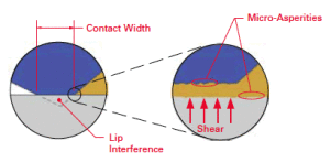 Hydrodynamic Effect